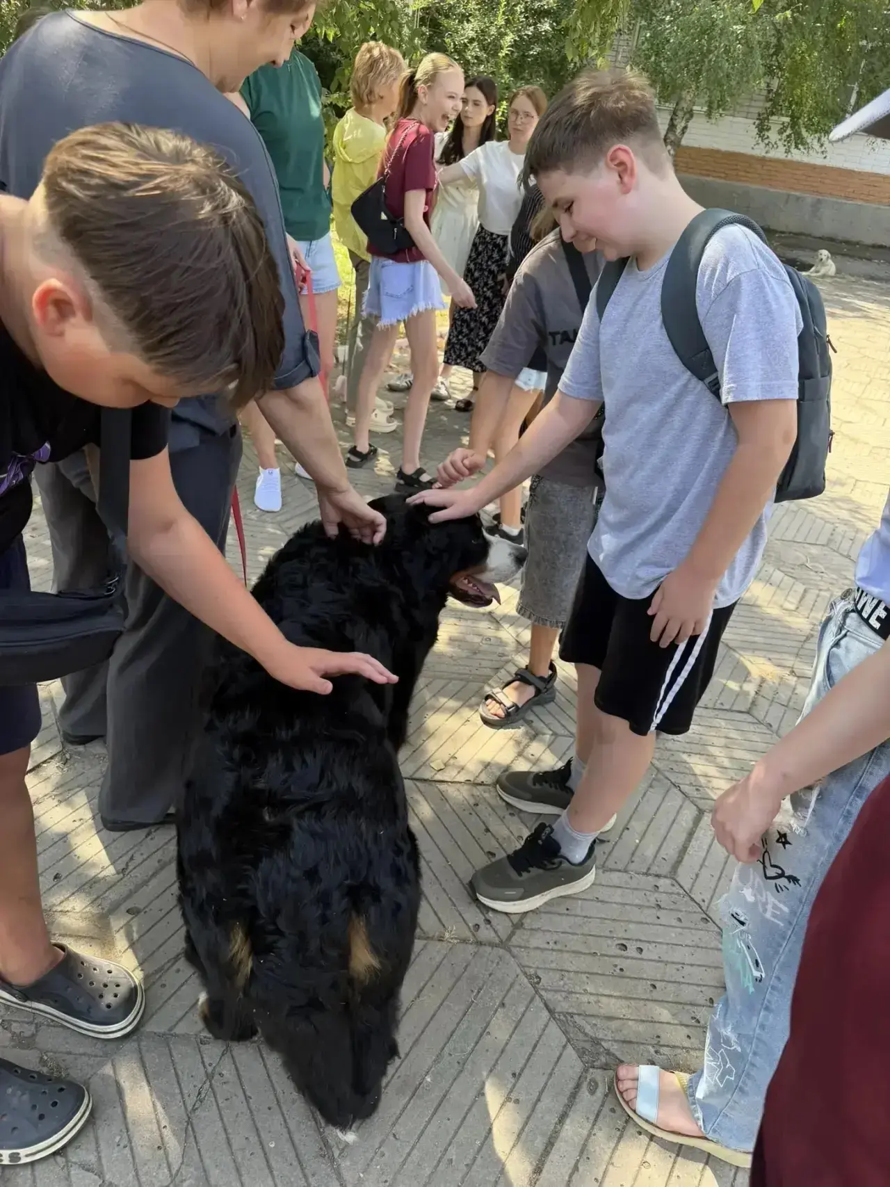 🐾 Лагерь — это не только игры и солнце, но и знакомство с миром взрослых профессий!