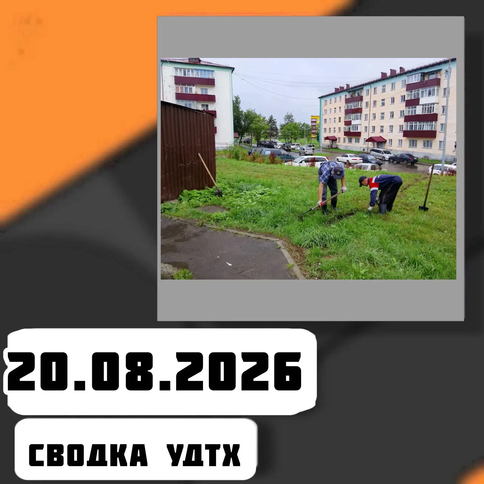 ➡️Сводка УДТХ на 20.08.2026
