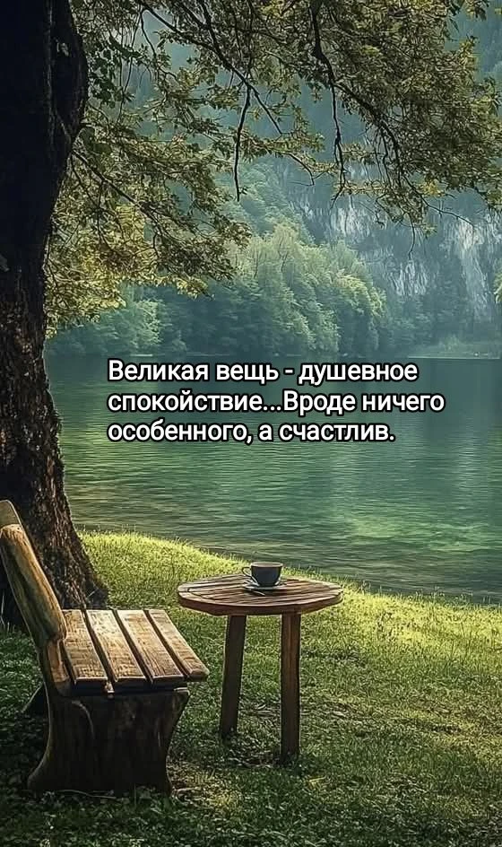 #цитаты