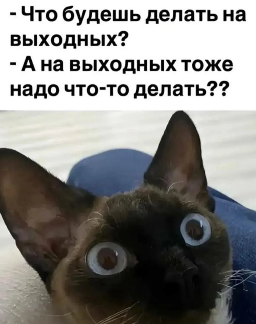Доброе субботнее утро! Наслаждаемся тёплыми осенними выходными 🍂