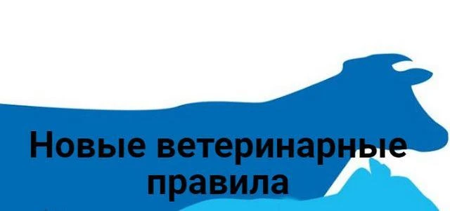 📢 Внимание: обязательные ветеринарные требования при реализации продукции животного пр...