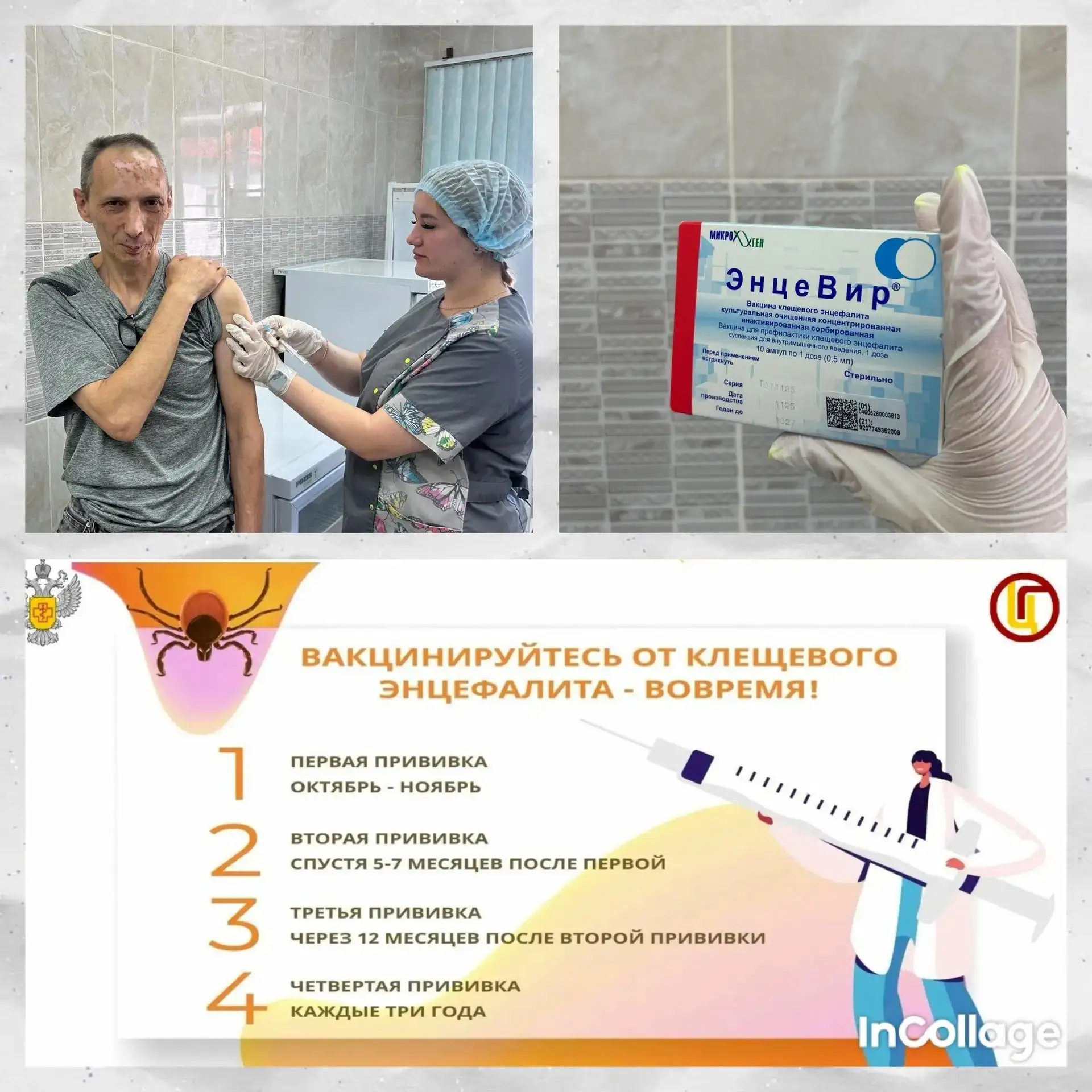 🕷 Что нужно знать о клещевом энцефалите
Это заболевание, которое может поражать нервную систему. К 