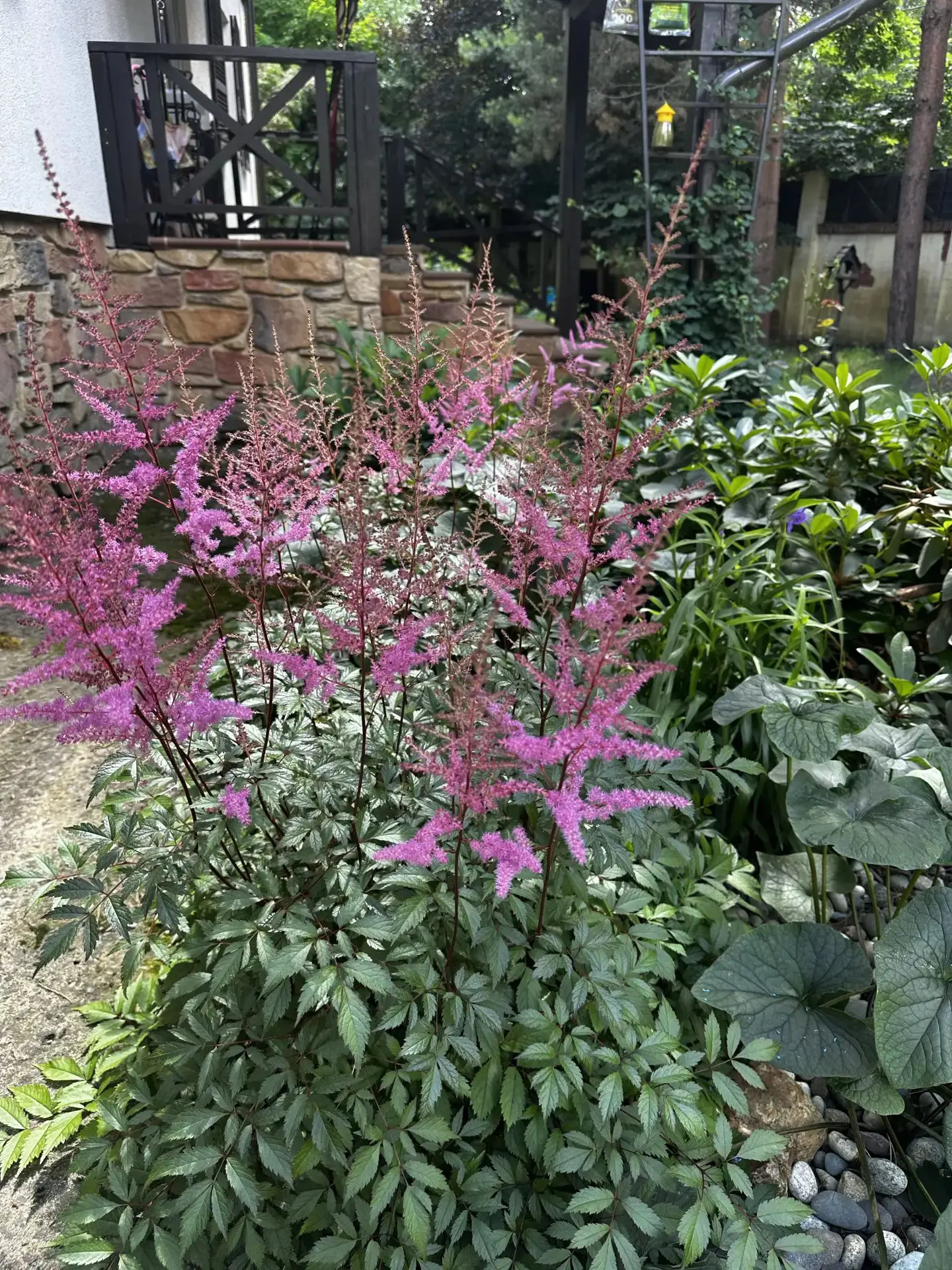Доброе воскресное утро! 🌿