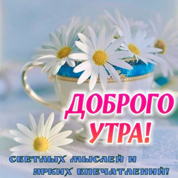 Изображение 1 к публикации «Открытки для близких»