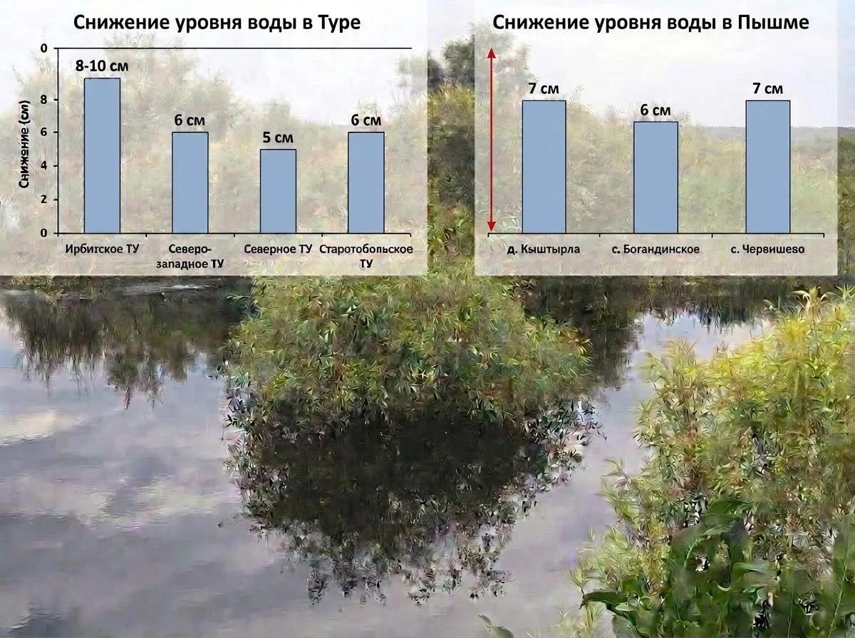 Уровень воды в реках Тюменского округа 20 августа