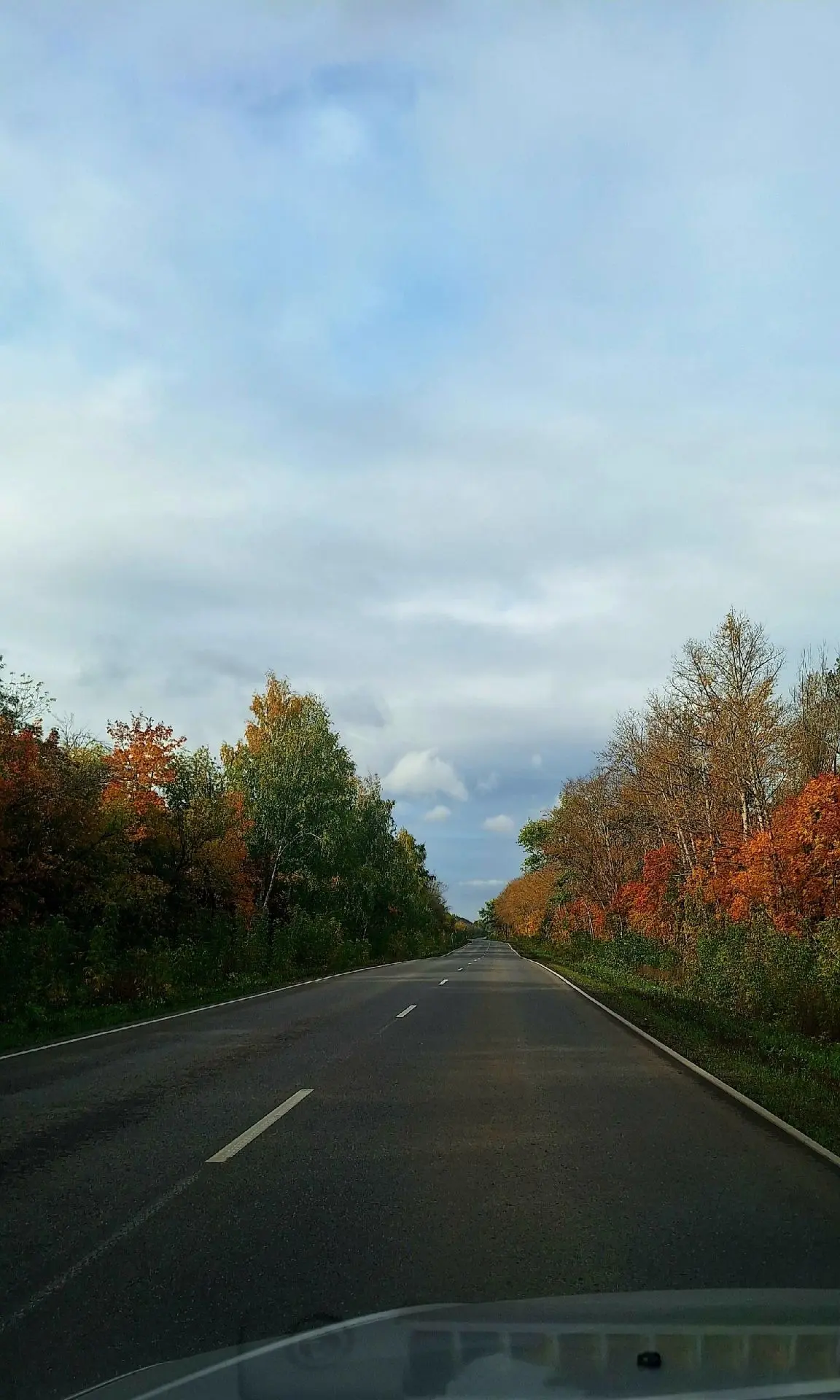 ⛅️ Доброе утро! Сегодня сохранится переменная облачность. Без осадков. Ветер западной ч...