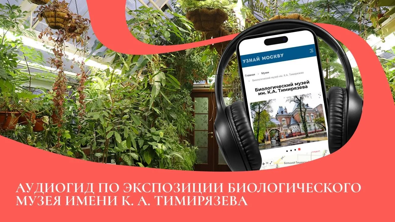 Что делать, если хочется изучить музей подробно, но нет возможности попасть на экскурсию?