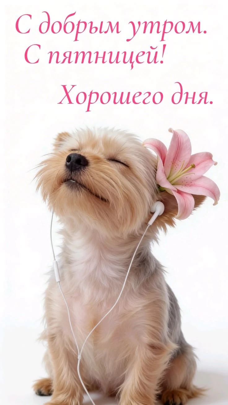 🎉Пятница. Да, та самая