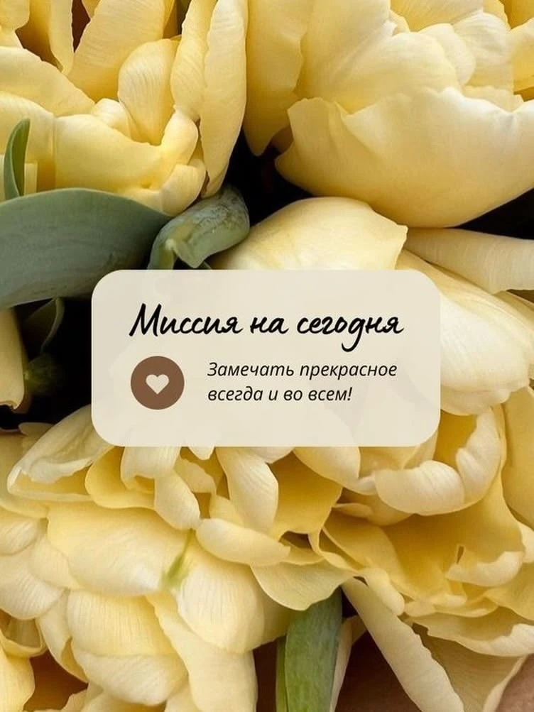 🌙 Иногда прекрасное — это просто сегодняшний день...