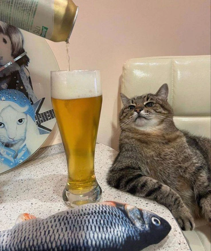 🍺 В России разгорелся ПИВНОЙ КРИЗИС — и во всём снова виноваты зумеры