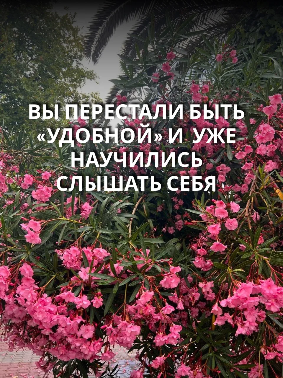 Вы перестали быть «удобной» и  уже научились слышать себя.