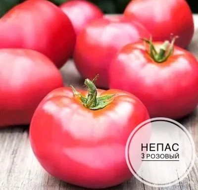 Томаты «Непас»: урожай без пасынкования! 🍅🌿

Серия низкорослых и детерминантных сортов, которые не