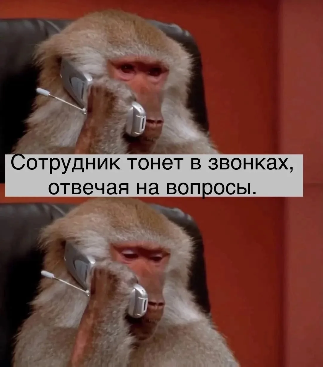 #Профессионалитет
#Амбассадоры_Профессионалитета
#Приемная_кампания_2026

Всем привет!
С вами амбасс