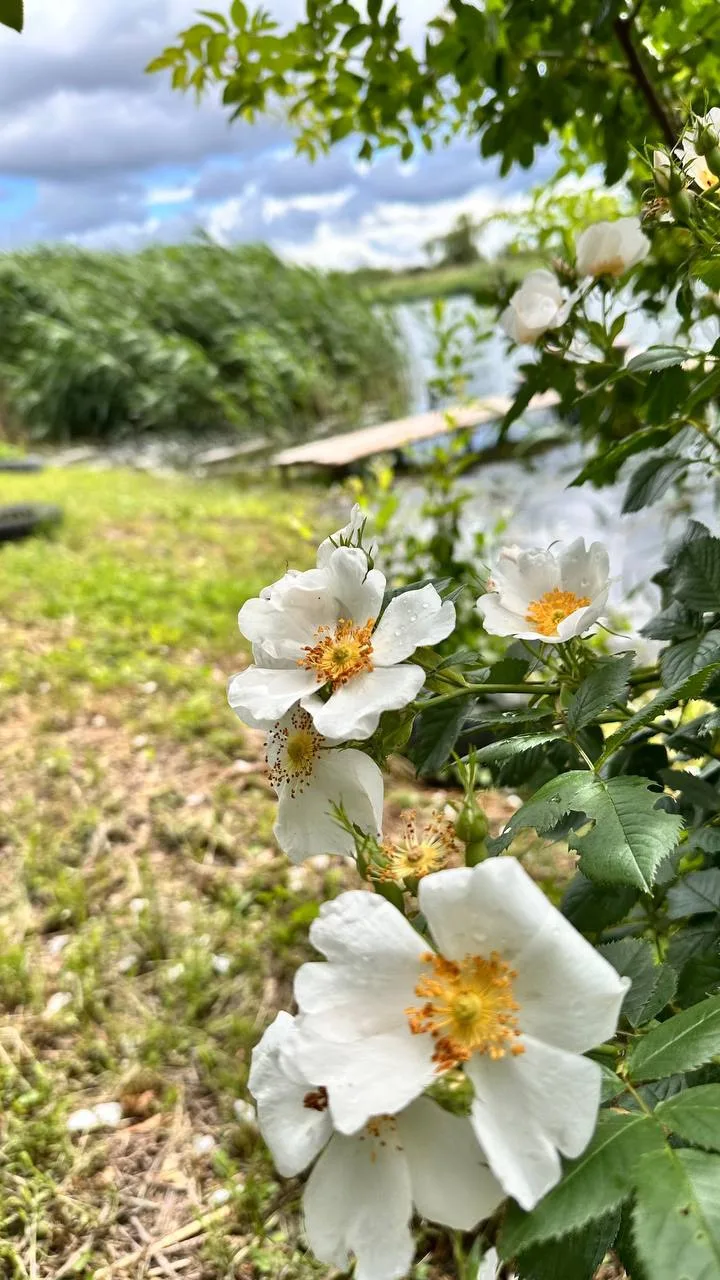 Доброе утро, друзья! ☀️