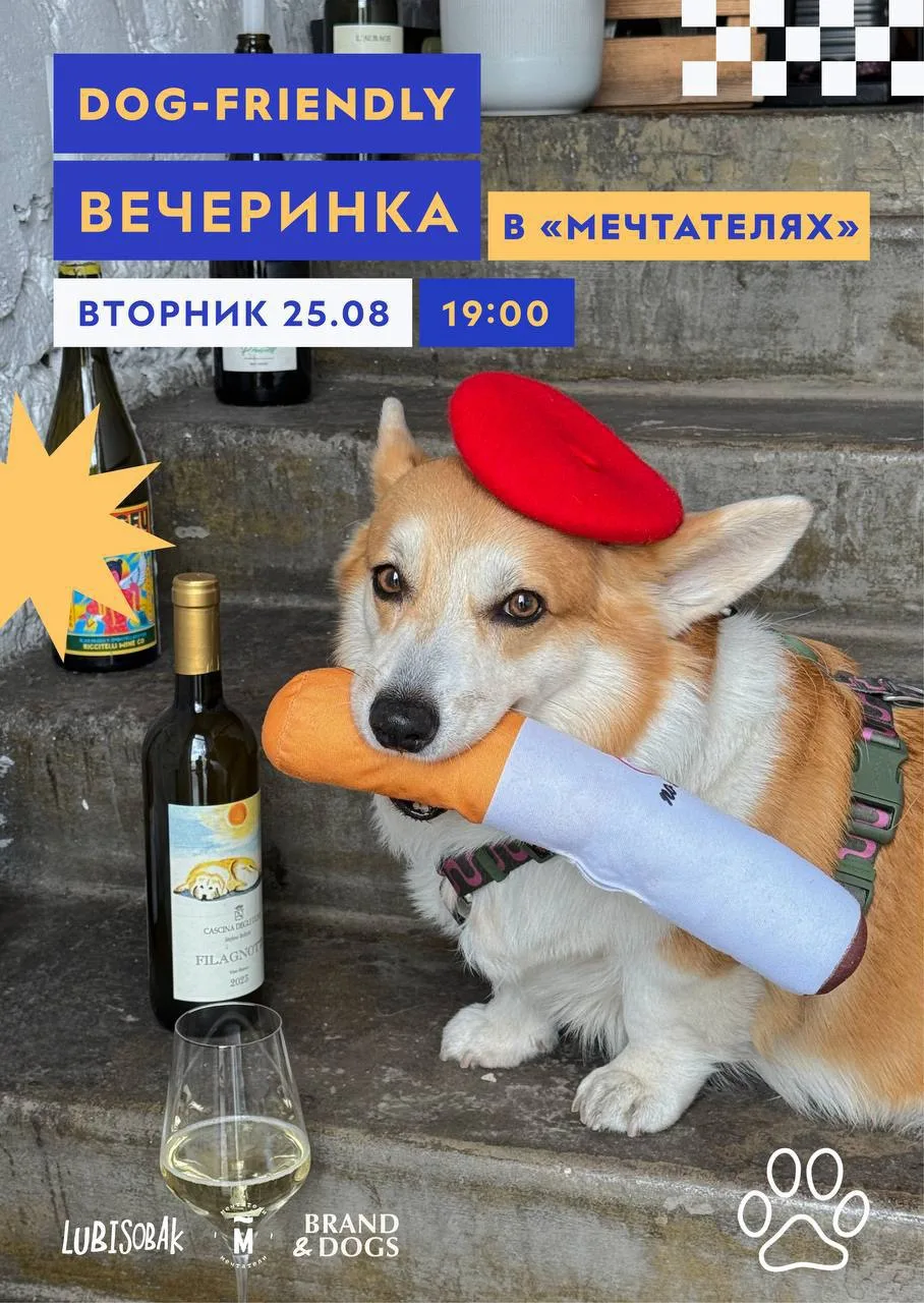 🐕 В кафе «Мечтатели» устроят благотворительную вечеринку для собак и их хозяев!