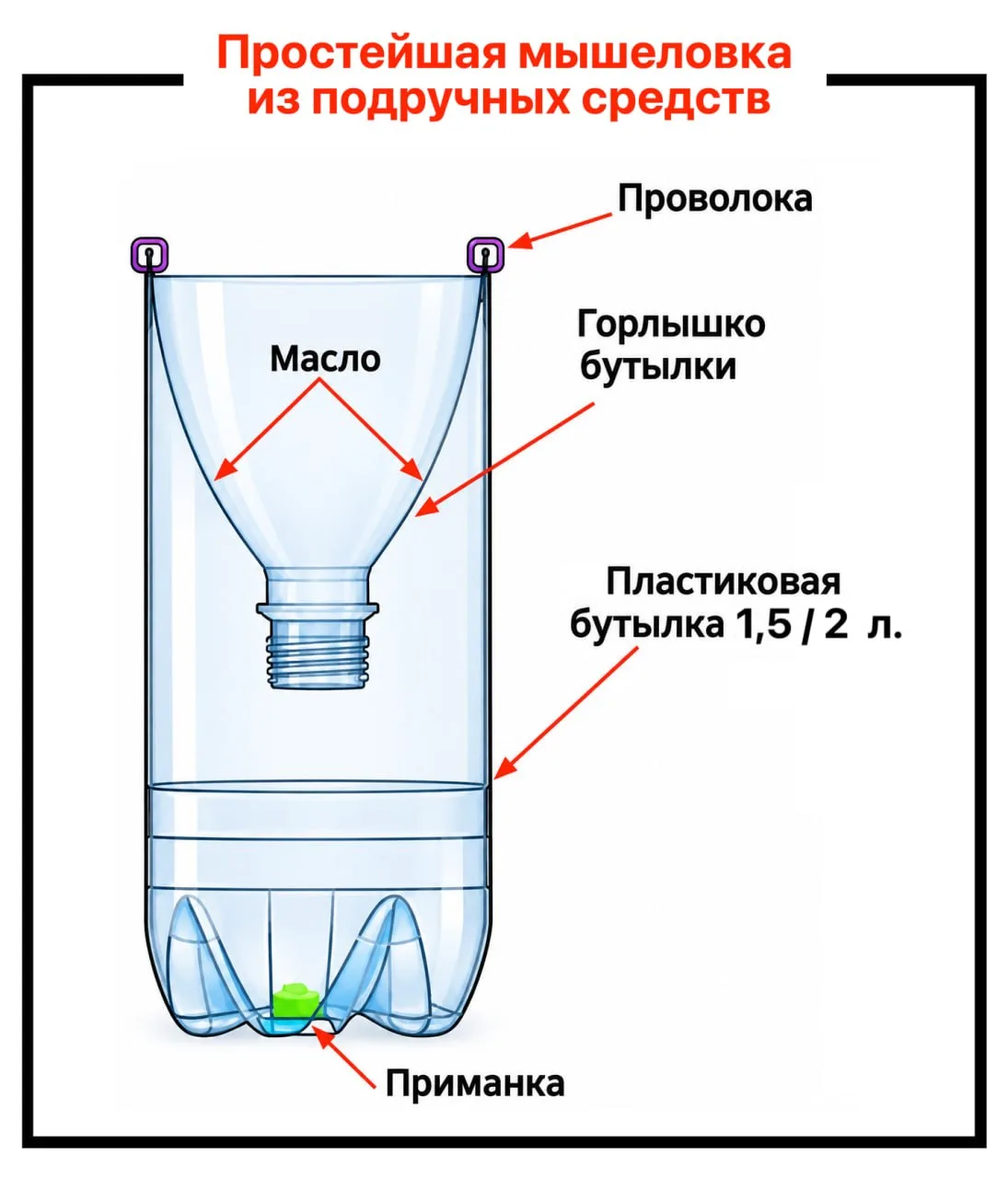 Простейшая мышеловка из подручных средств.
