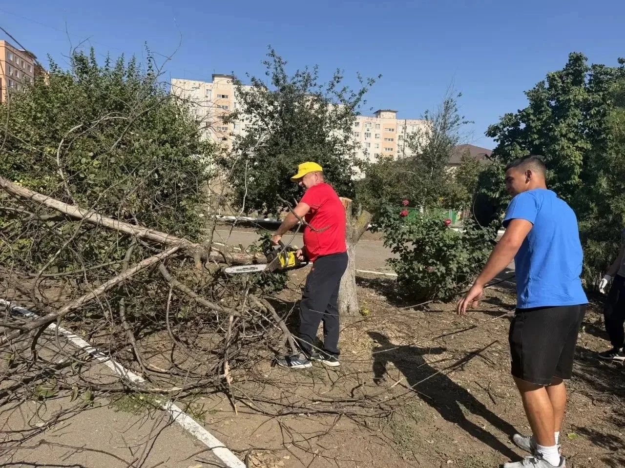 Субботник в Чалтырской СОШ № 3 🌿