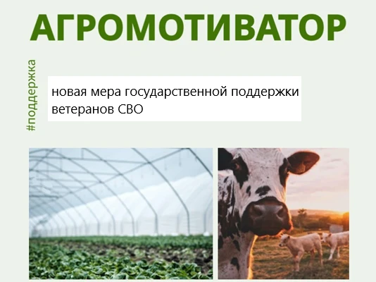 Грант «Агромотиватор» как форма поддержки участников СВО в создании своего агробизнеса ...