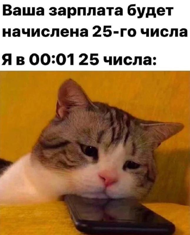 Средний заработок жителей Новосибирской области за январь-июль 2026 года вырос на 10% д...