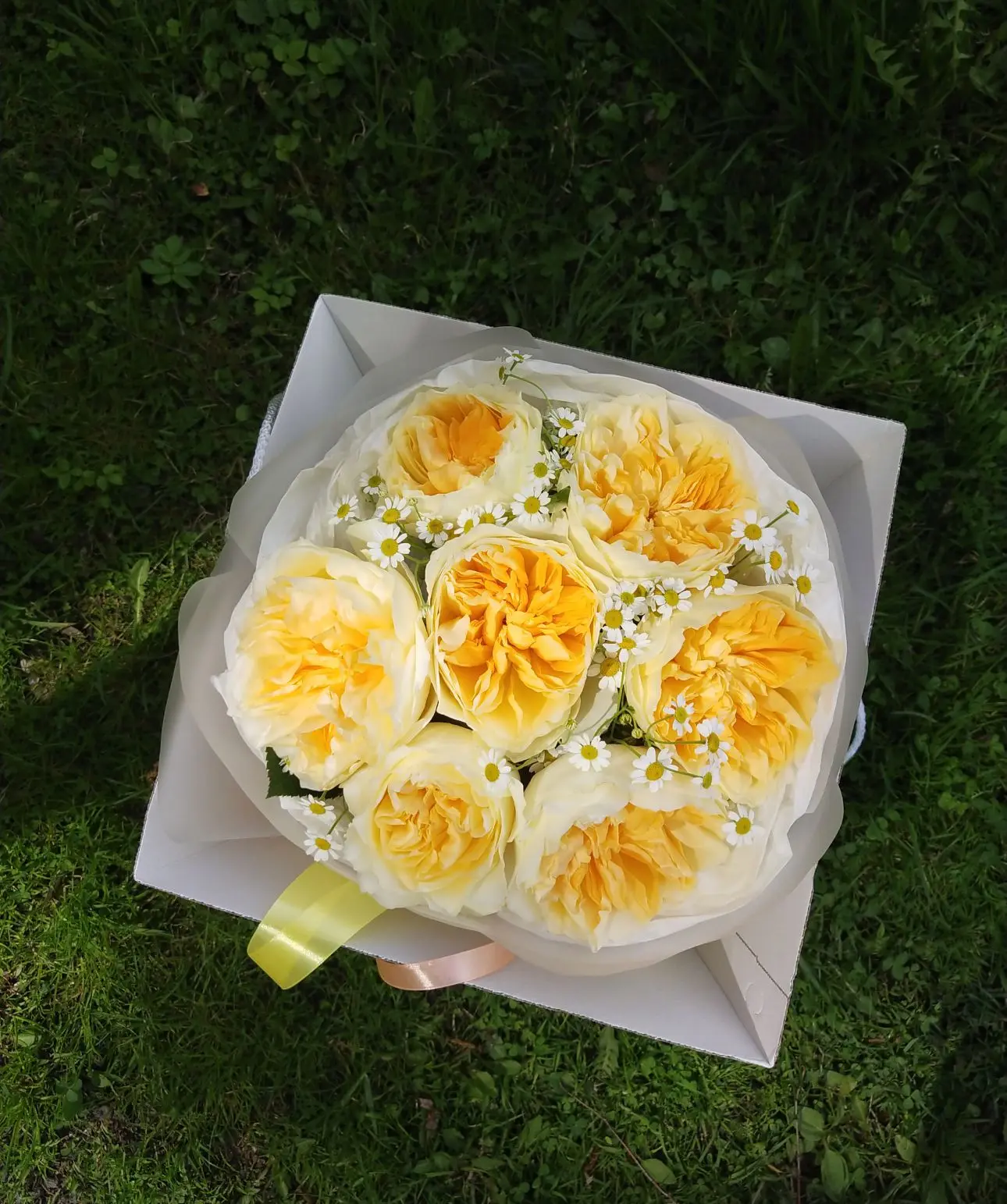 Совсем по-летнему☀️


3'200₽


Заказать с доставкой:

+79062366909 Юлия 💖