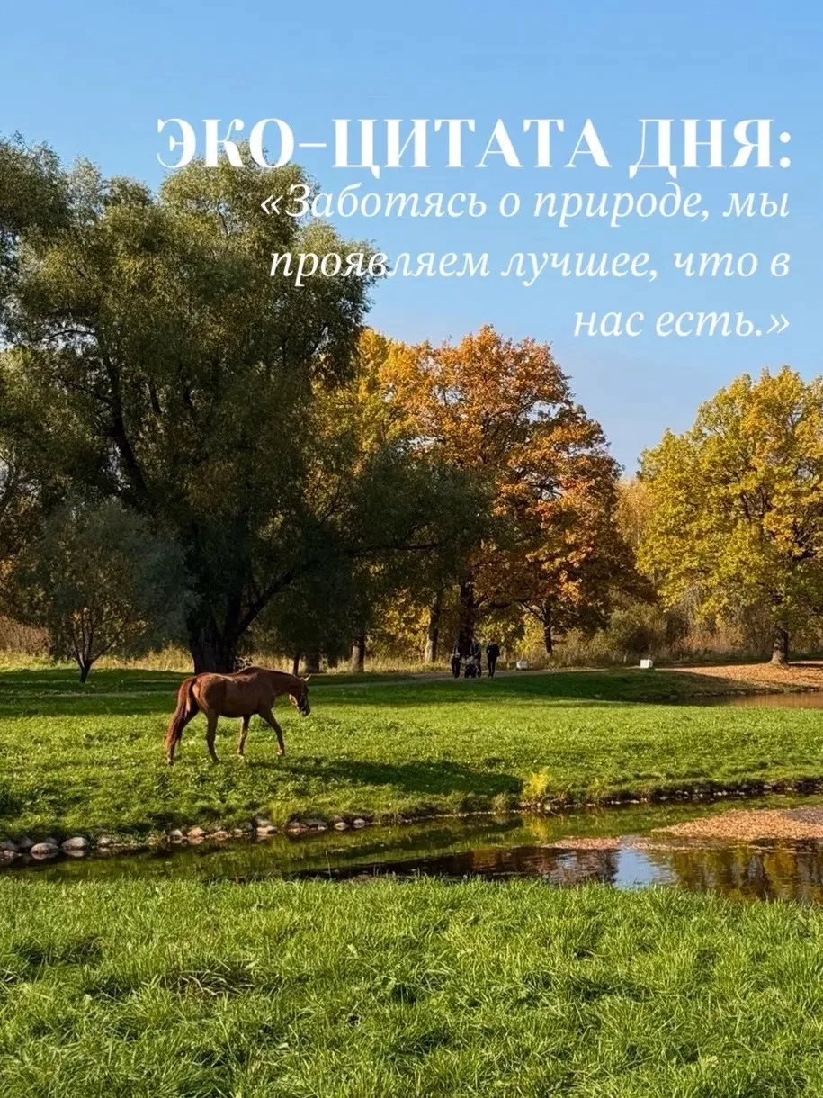 🍂 Эко-цитата дня: