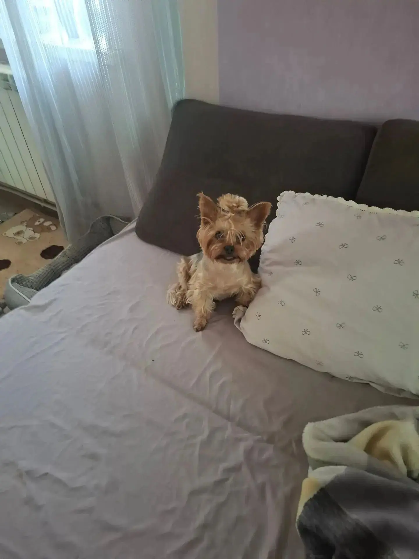 ❗️ДО СИХ ПОР ИЩЕМ
