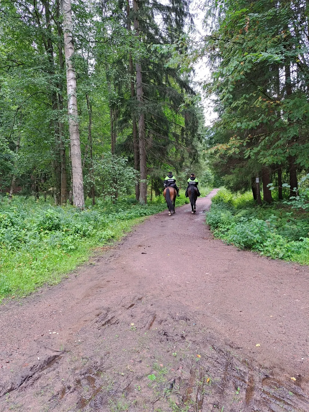 Где в Санкь-Петербурге можно увидеть патрулирование конной полиции?