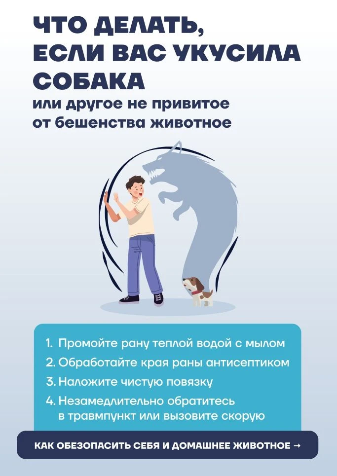 Что делать, если вас покусало не привитое от бешенства животное?