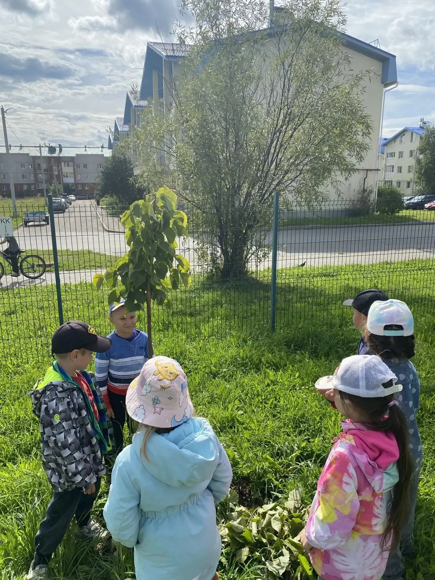 🌲Летний период в детском саду предоставляет воспитателям уникальную возможность перене...