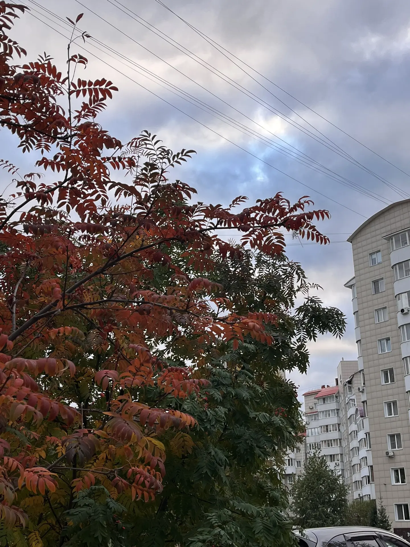 🌤️ Всем доброе утро и хорошей недели!
