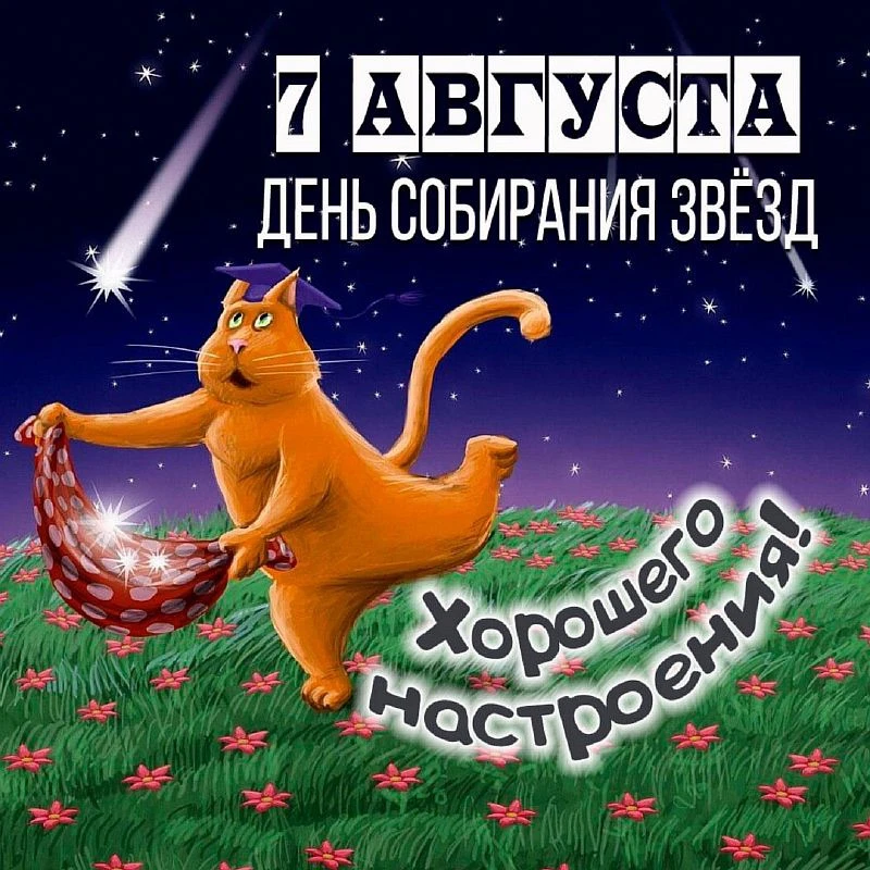 #ПраздникСегодня ✨