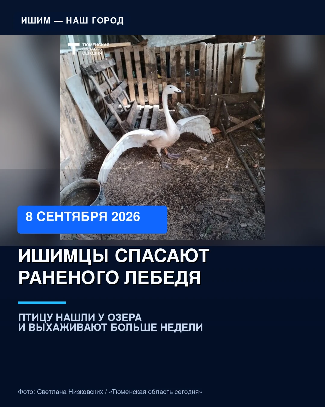 📰 Главное в Ишиме за 8 сентября