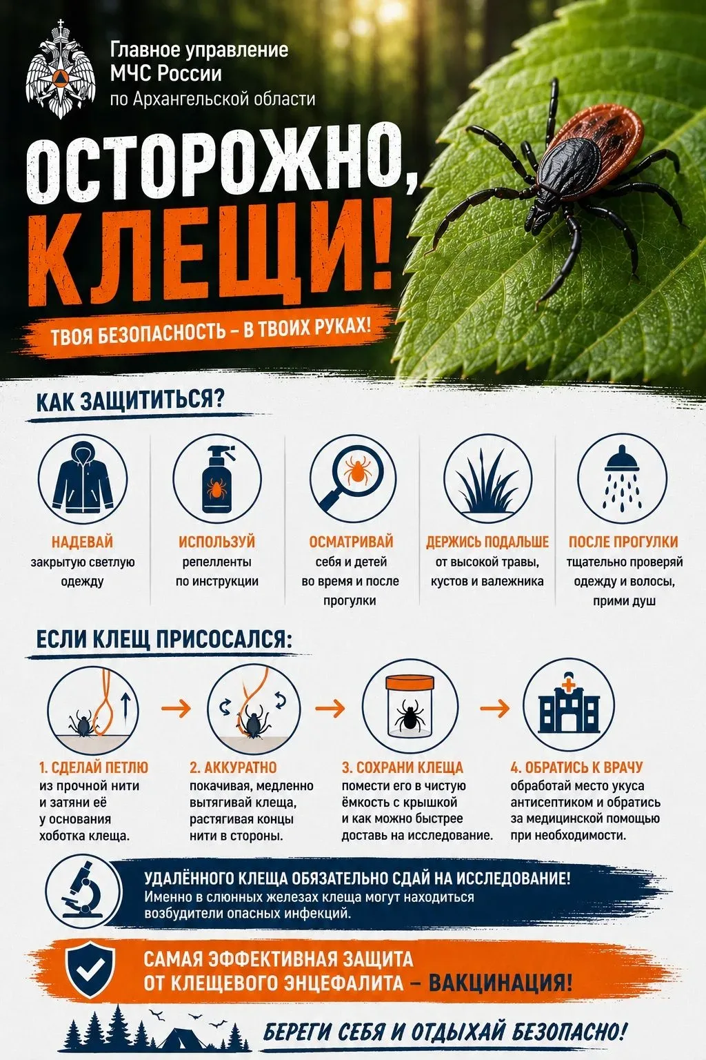 С наступлением тёплой погоды в Архангельской области начался сезон активности клещей. П...