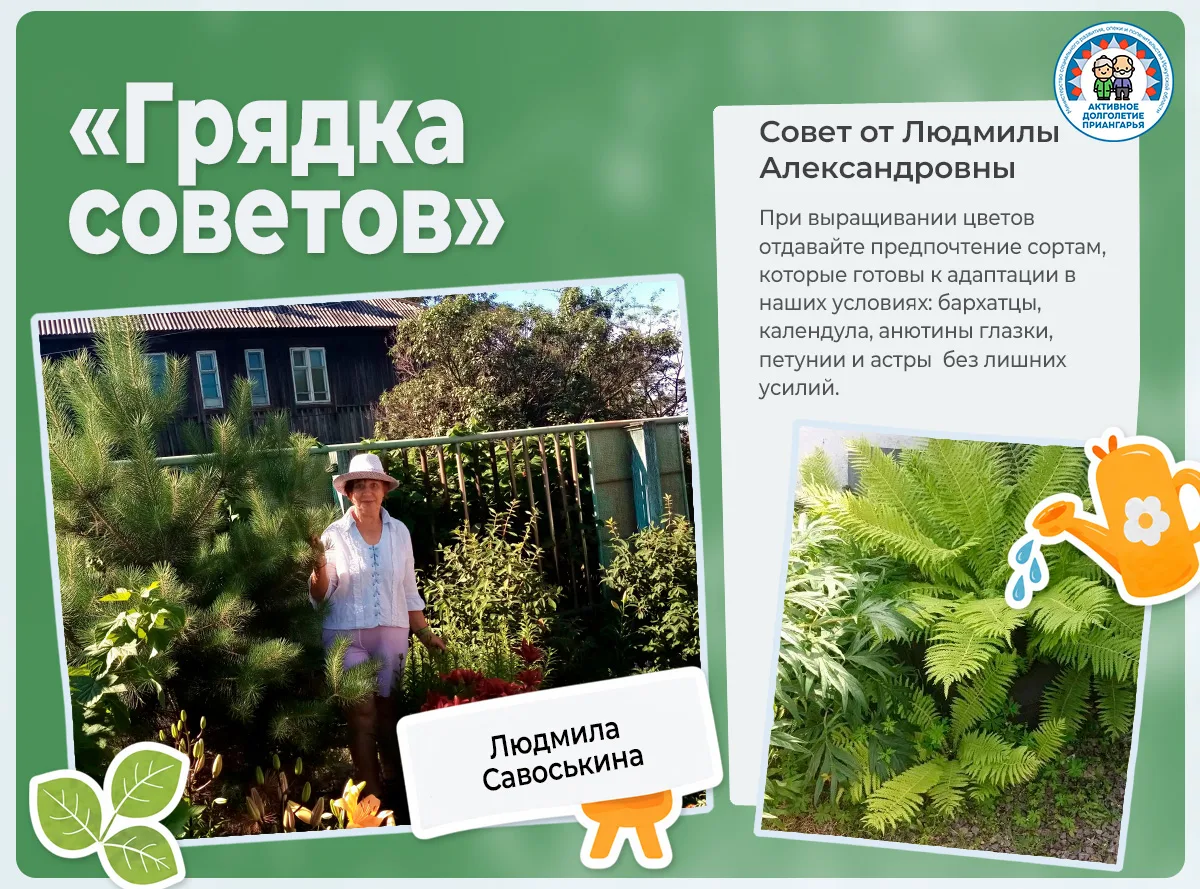 Рубрика «Грядка советов»