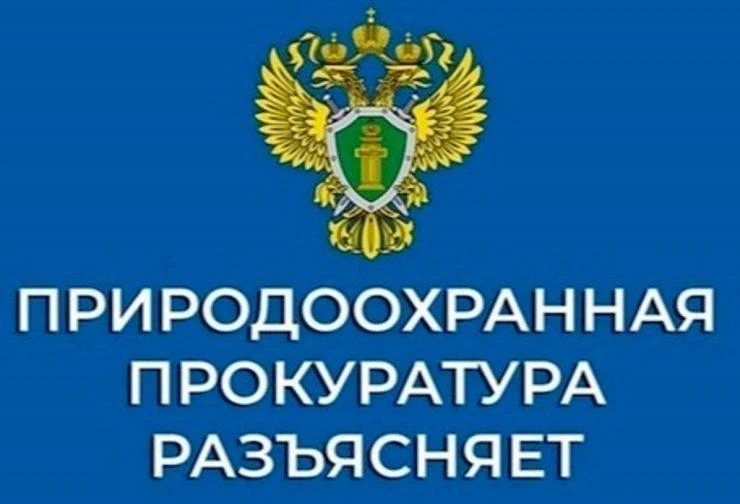 Саратовская межрайонная природоохранная прокуратура разъясняет законодательство о рассм...