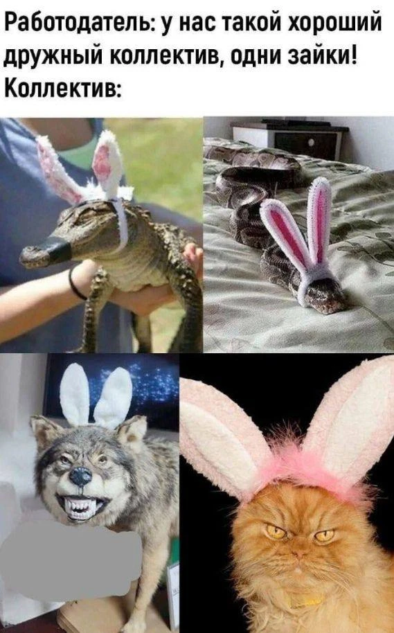 Ты знаешь кому отправить