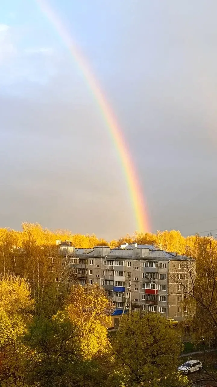 Радуга на фоне золотой осени от подписчиков.