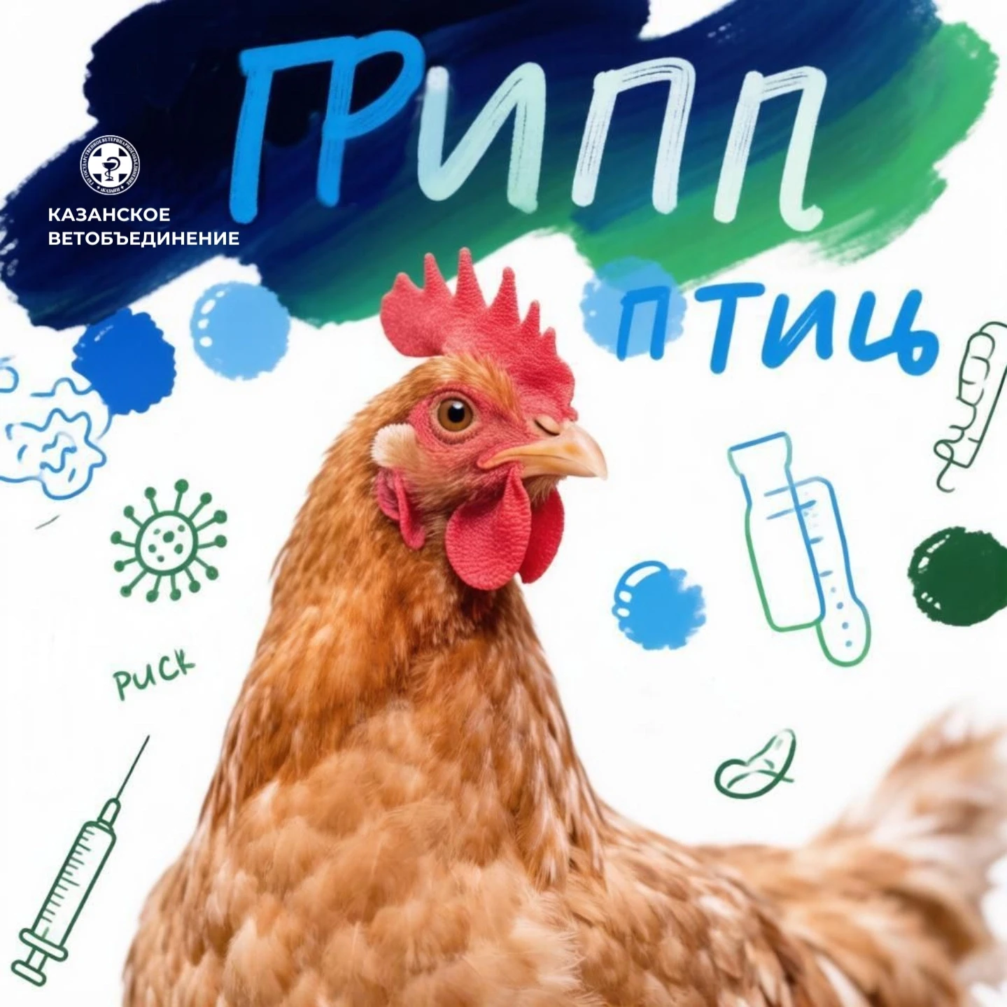 ‼️ ВАЖНО: ВНИМАНИЕ НА ГРИПП ПТИЦ!