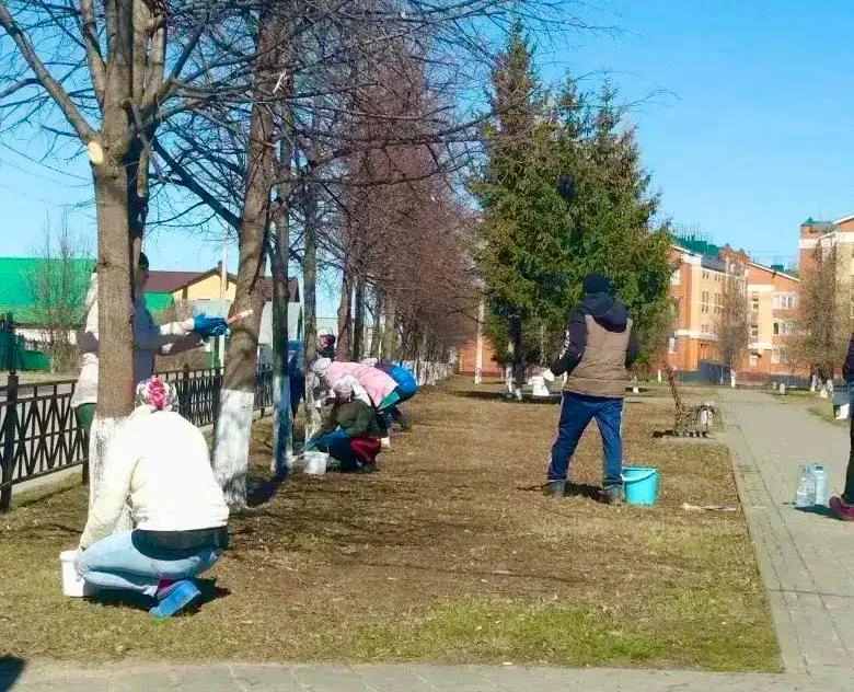 🌿 Природа оживает, город обновляется!