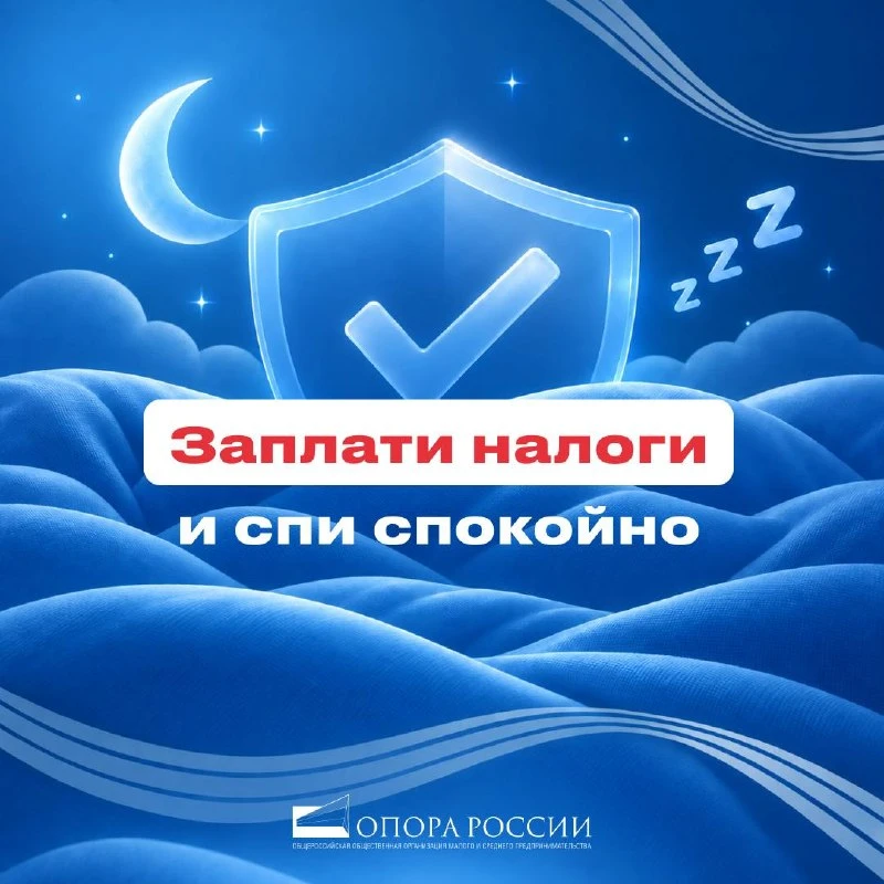 Вовремя и без ошибок: успейте заплатить налоги до 1 декабря и разобраться во всех нюансах
