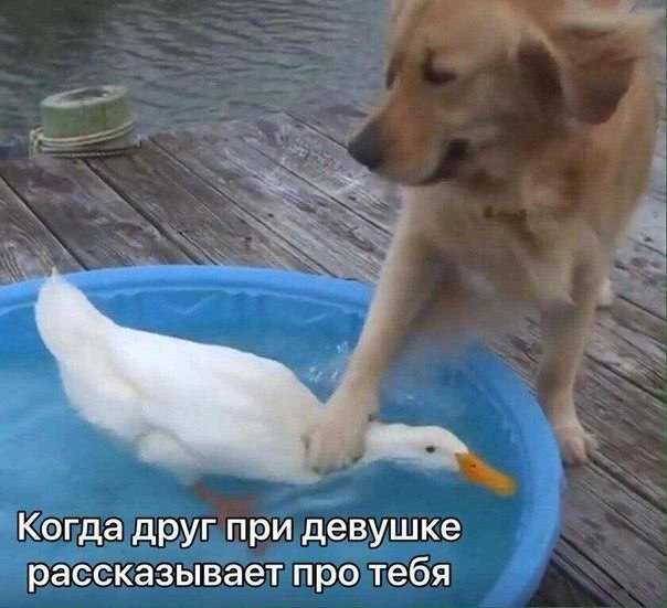 ПРУFИКИ В МАХ