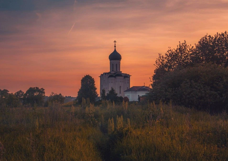 🕊 Нас на работу не взяли – обиделись