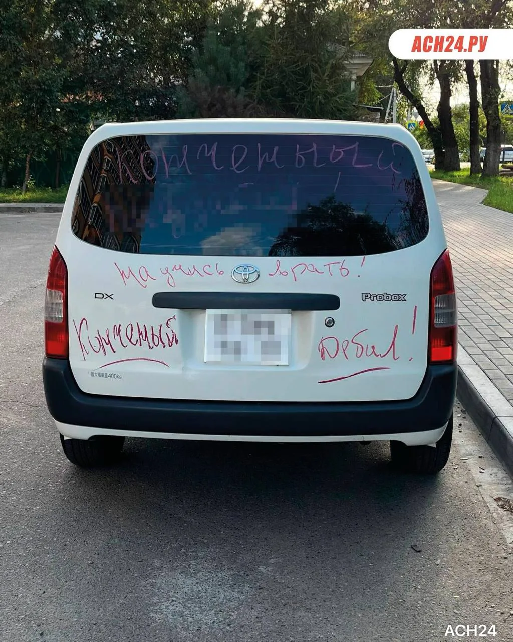 В Благовещенске местная жительница оригинально отомстила возлюбленному за измену, разри...