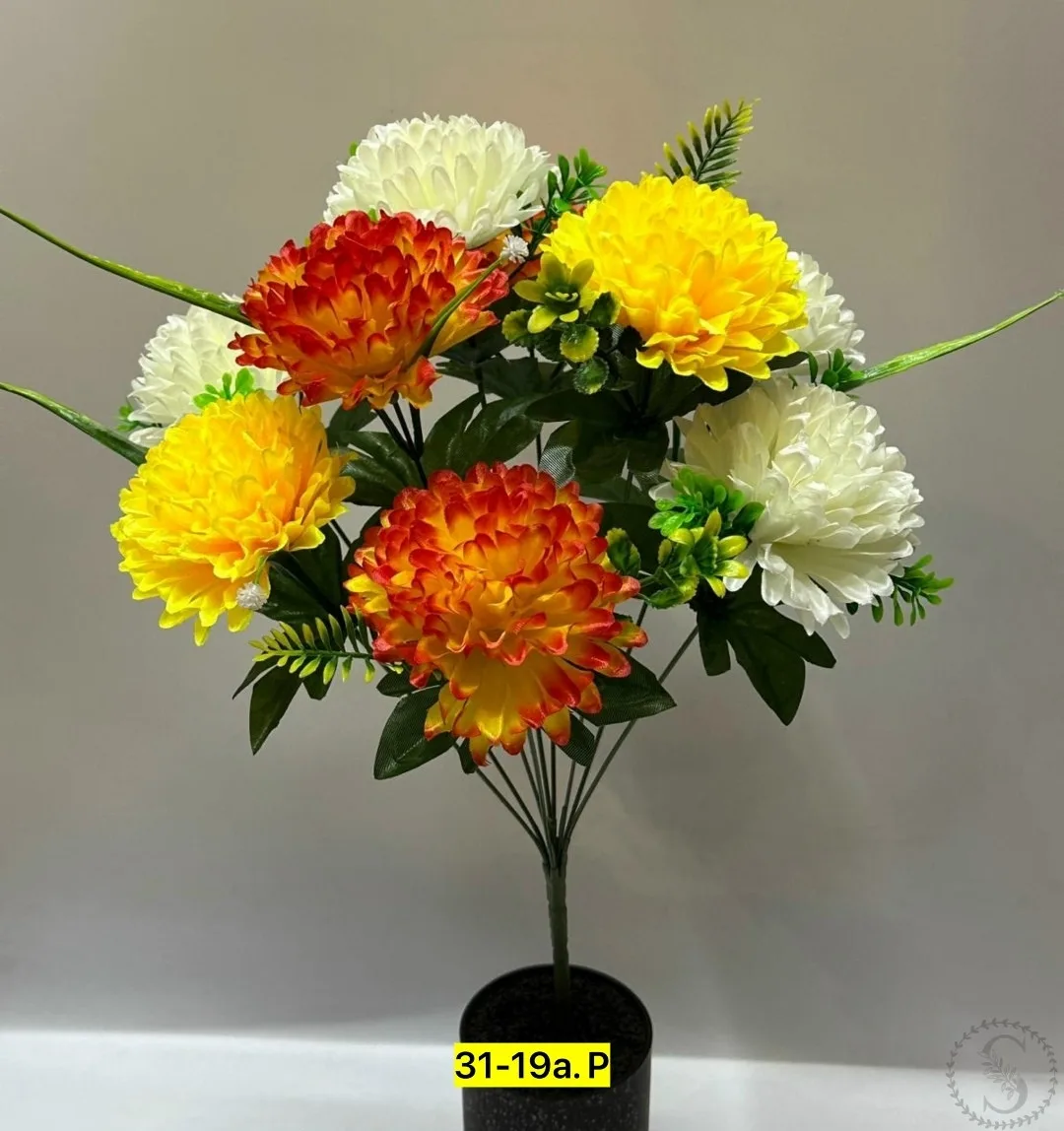 https://vk.com/photo-184814919_493391937