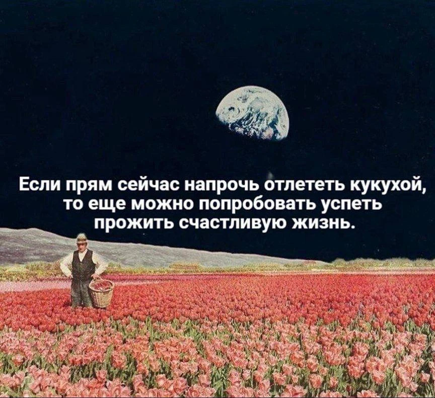 Подходит