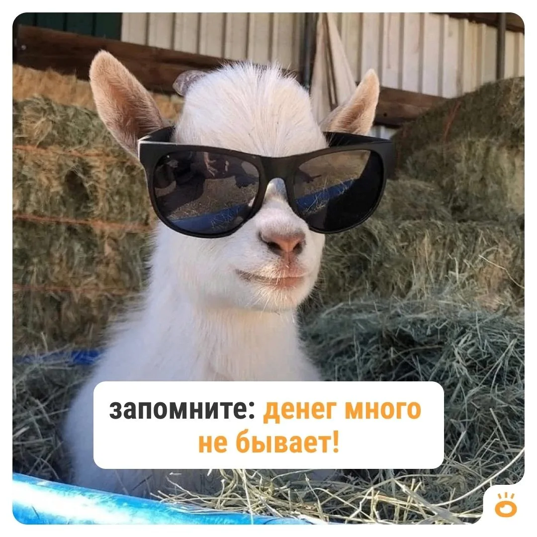 👀 Где в России платят больше всего?