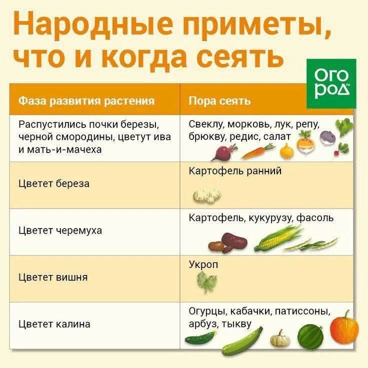 Берите на заметку👌

Я из Питера👈нажимай
Я из Москвы👈переходи