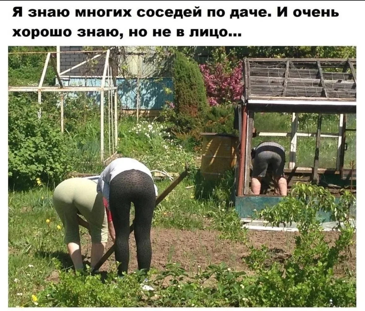 Минутка юмора 😁