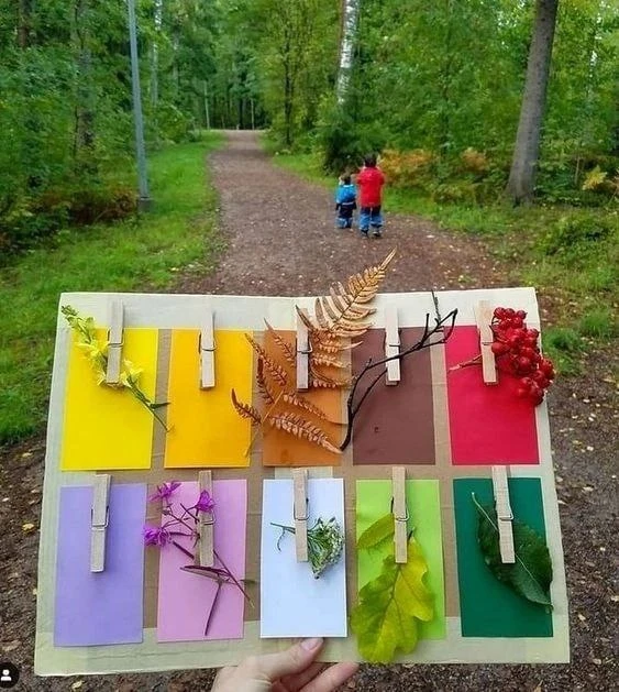 Осенняя находилка для детей🍂🍁
