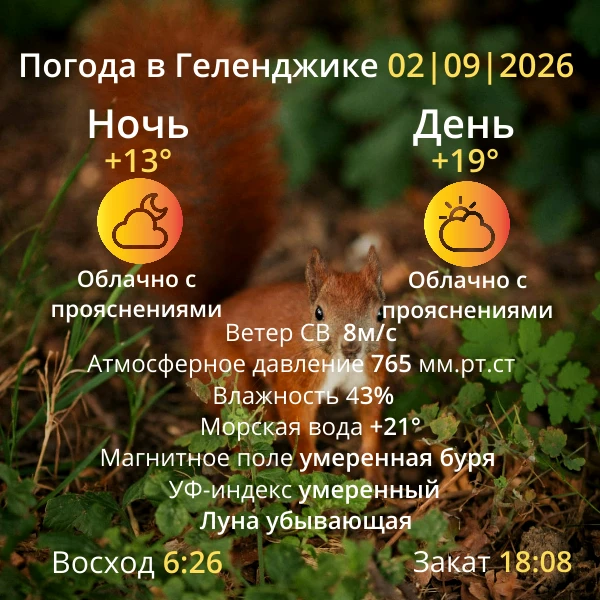 Погода на завтра
